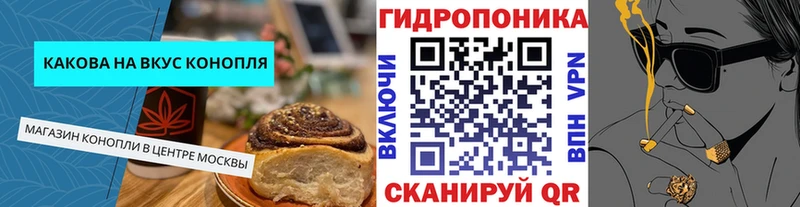 MEGA ONION  купить  цена  Владимир  Cannafood марихуана 