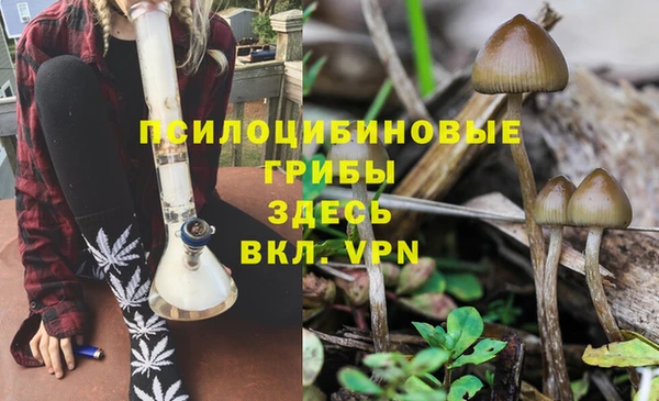 jwh Богданович