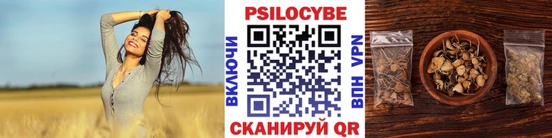 Псилоцибиновые грибы мухоморы  МЕГА сайт  Владимир  цены  